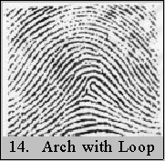 archloop