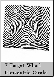 targetwhorl