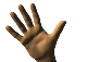 bullet hand